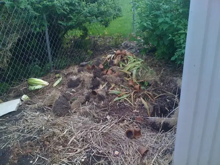 Planter’s Mix Amended Topsoil (1 Minus) (representative photo)